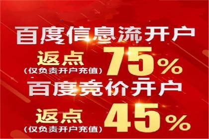 百度推广实战攻略：案例与策略